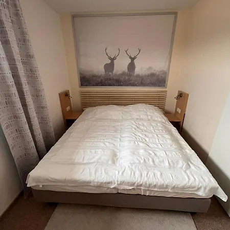 Exklusive Mini - Panorama Hohegeiss