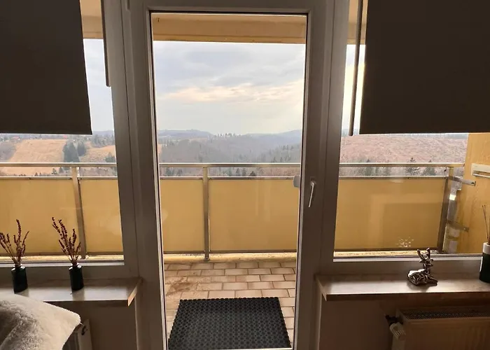 Exklusive Mini - Panorama Hohegeiss *