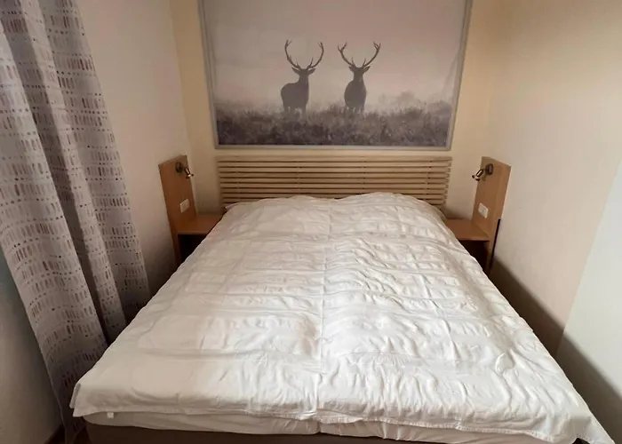 Exklusive Mini - Panorama Hohegeiss