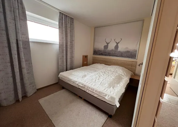 Exklusive Mini - Panorama Hohegeiss Daire